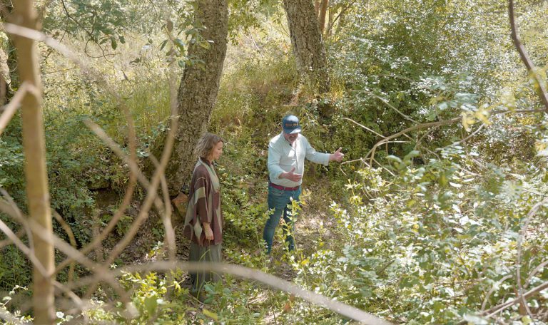 Duas pessoas conversam, enquanto caminham numa área de floresta, rodeadas de árvores e vegetação. Fotografia iluminada pela luz natural e de estilo documental.