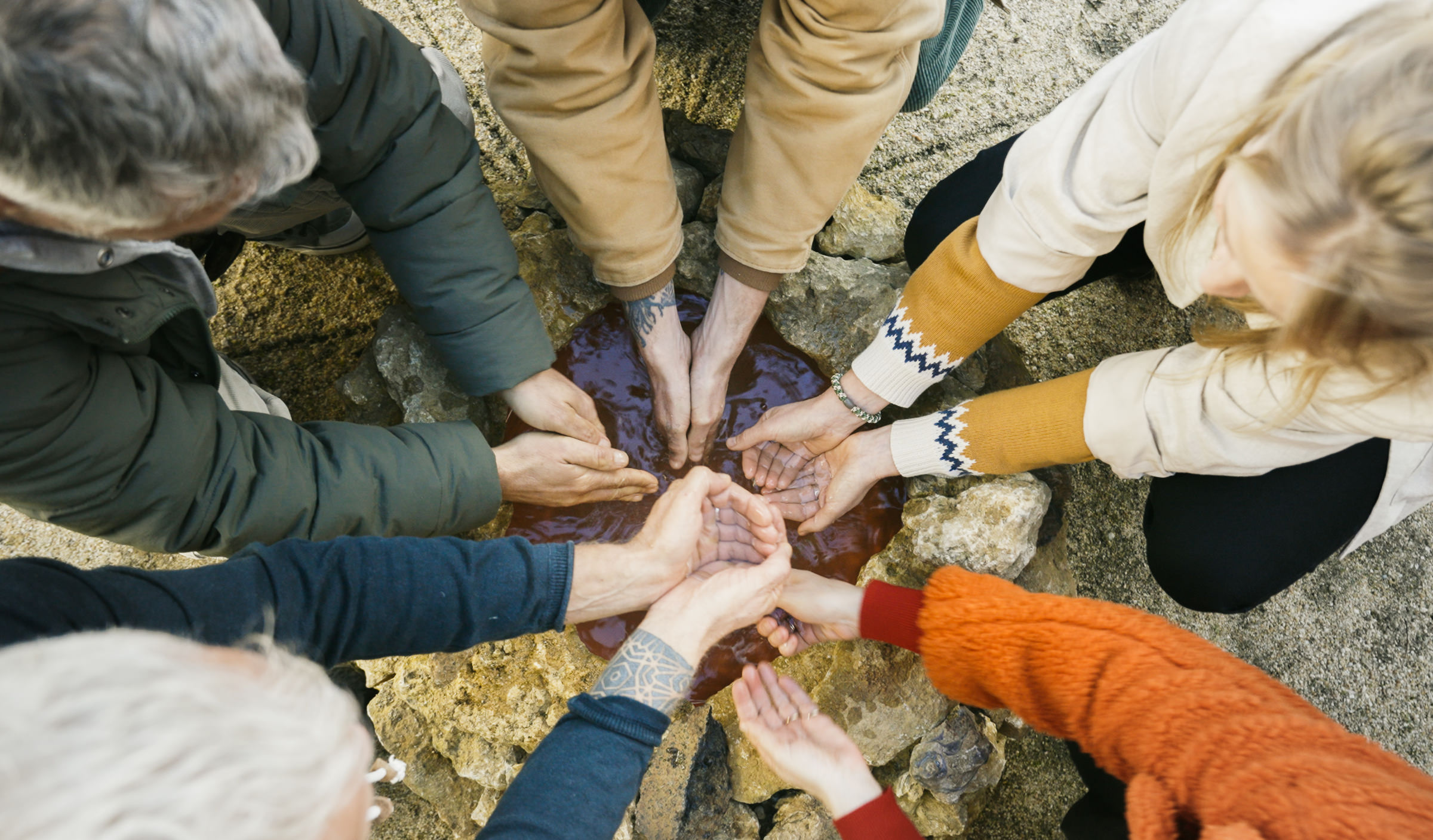 Ação de storytelling “Forest Guardians” por Evgenia Emets